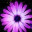 aprilswritingportfolio.wordpress.com