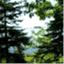 sirago5.wordpress.com