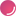 dolfinin.com