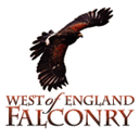 westofenglandfalconry.org.uk