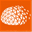 nbsec.net