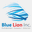 bluelioninc.com