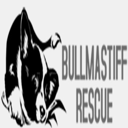 bullmastiff-rescue.org.uk