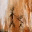 karlbrannstrom.wordpress.com