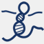 noncode.org