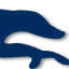 newparkstud.ie