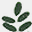 midwestblacklocust.com