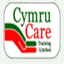 cymraeg.cymrucaretraining.com