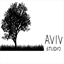 studioaviv.com