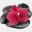 institutdouceheure.com