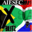 aiesecsaexchange.wordpress.com