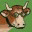 cheesesolidarity.wordpress.com