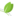 xelarederm.com