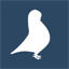 getpigeonapp.com