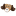 ezscoopapoop.com