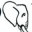 eloquentuvh.wordpress.com
