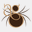 arachnidgraphics.com