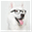 itgoogle.ru