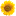 iq-solar.de