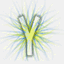yapic.ru