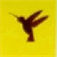 neocarvi.com