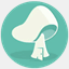 qcwoo.com