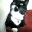 paulwilliamharrisonblog.wordpress.com