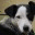 bitchesbox.wordpress.com