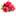 raspberryketone.hu