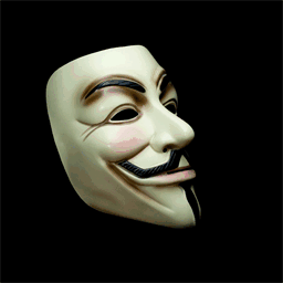 anonymousmaskerkopen.nl