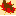 borderterriercanada.ca