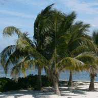 islandsurfschoolonline.com