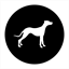 pacoimaautocenter.com