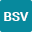 bsv-bern.ch