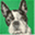 tailsoncanvas.com