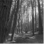 wordsbytorchlight.com