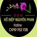 nguyenphan.com.vn