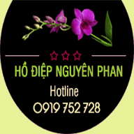 nguyenphan.com.vn