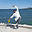 greendragontaichi.com