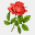 raleighflowers.info