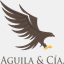 aguilaycia.cl