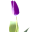 bionlx.com