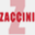 zaccini.com