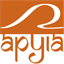 apyia.org
