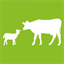 kuhn-srl.com