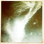 thestarvingbear.com