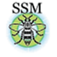 steadystatemanchester.net