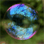 athoughtforeverybubble.com