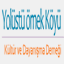 yolustuornekkoyu.com