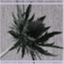 thebusythistle.wordpress.com